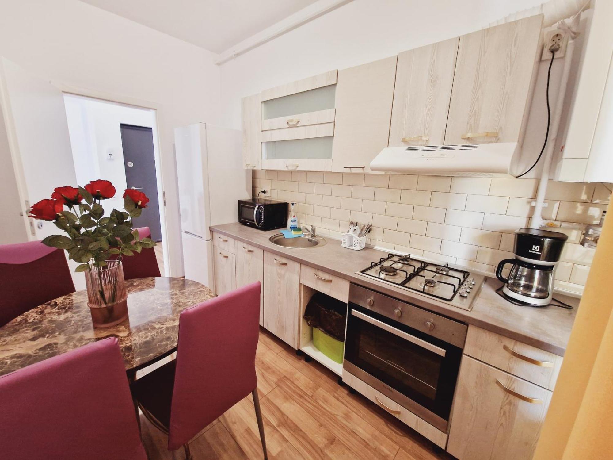 Ultracentral 5* Boutique Hotel Style Apartment. Brand New. 2 Rooms. Spacious. Free Parking Cluj-Napoca Ngoại thất bức ảnh
